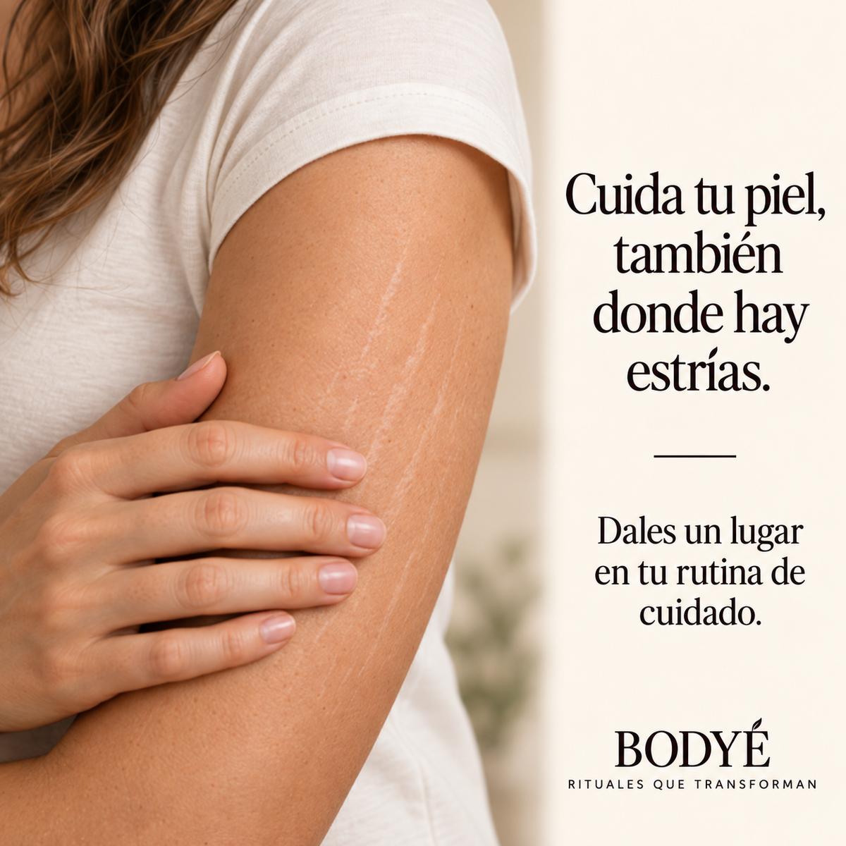 Bodyé Pack Bodie